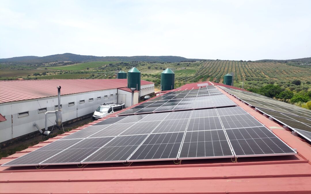 Instalación de Autoconsumo Fotovoltaico Industrial en Extremadura